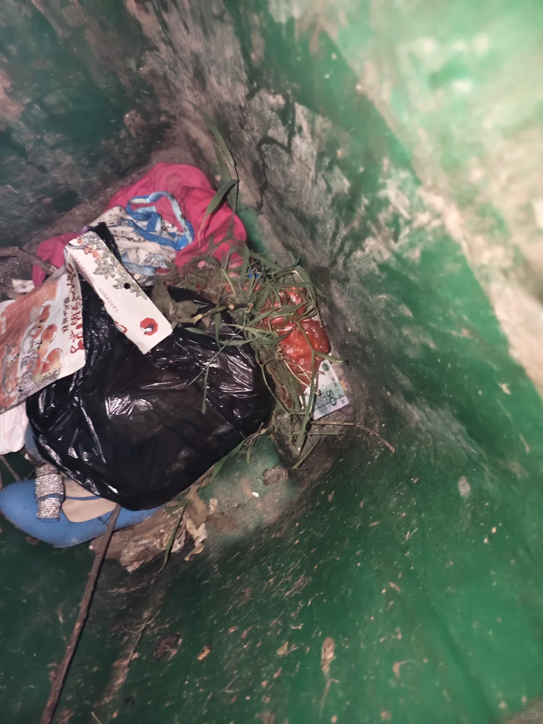 妙龄少妇深夜翻垃圾桶究竟为何