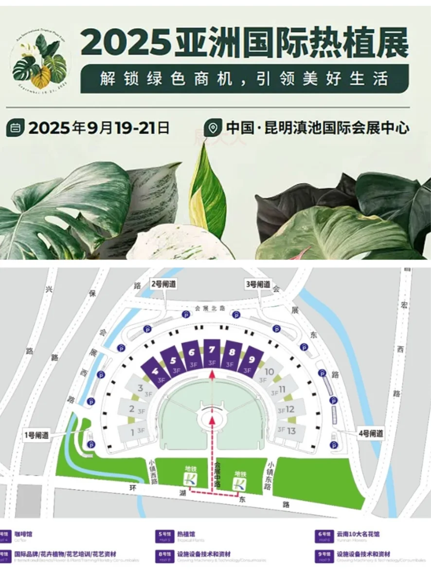 昆明热植展！将热带雨林搬进昆明！