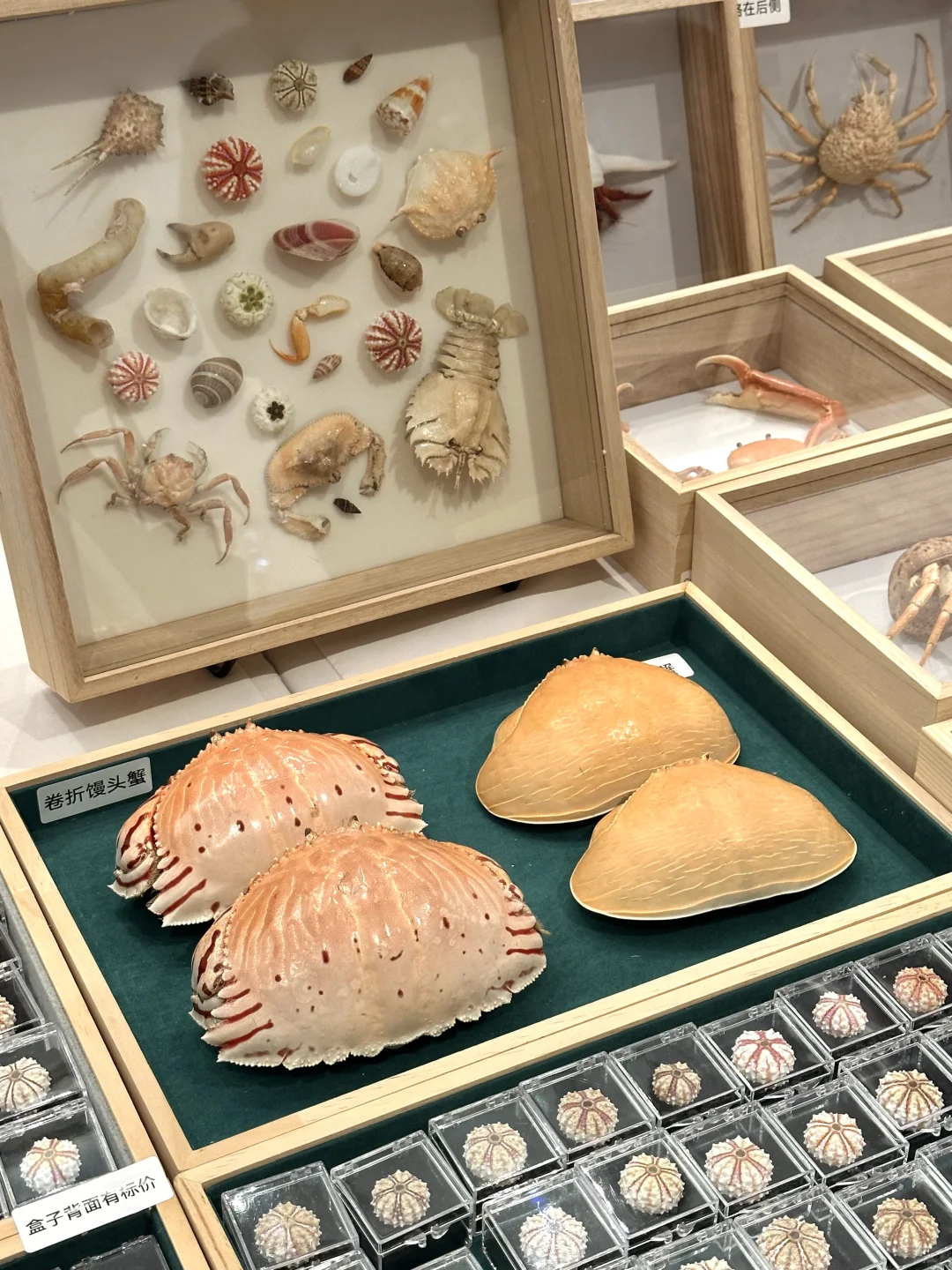 卧槽！！济南今天这是啥情况啊?。。。