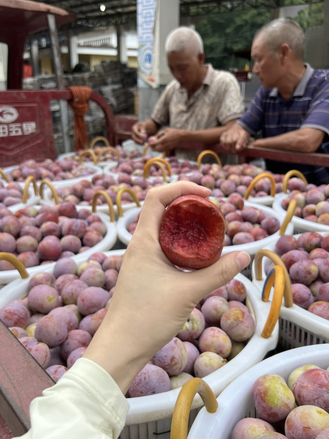 走进大山的农产品展销会！芙蓉李今年太便宜