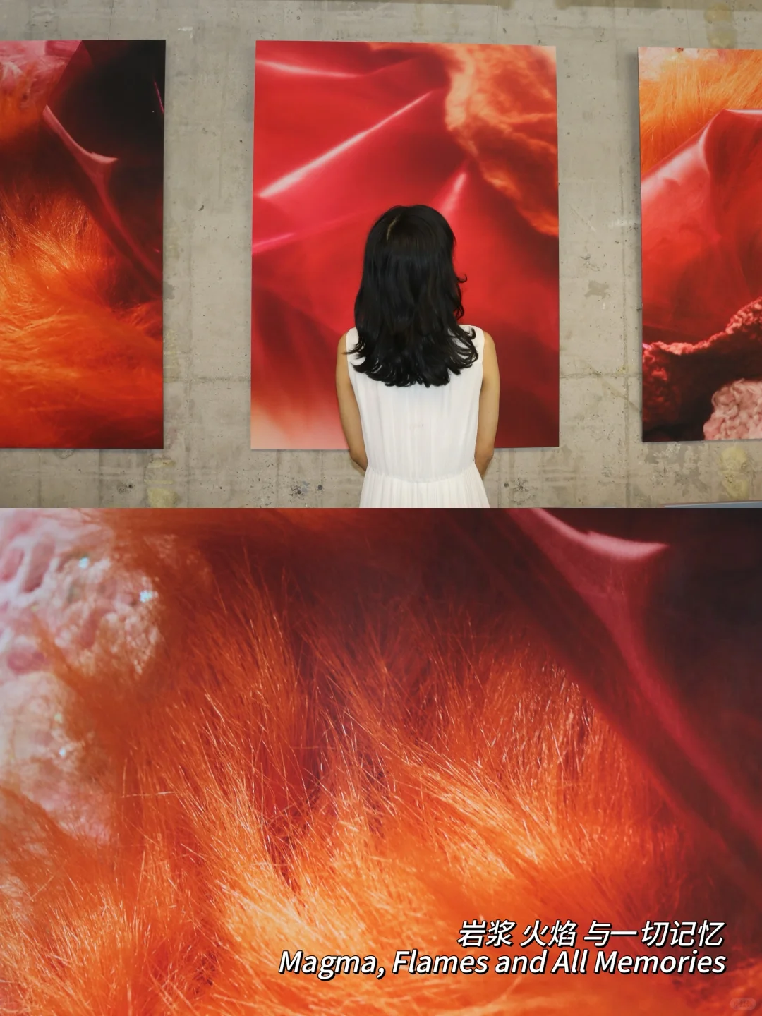 北京新展！三里屯这个艺术展太适合拍照啦！