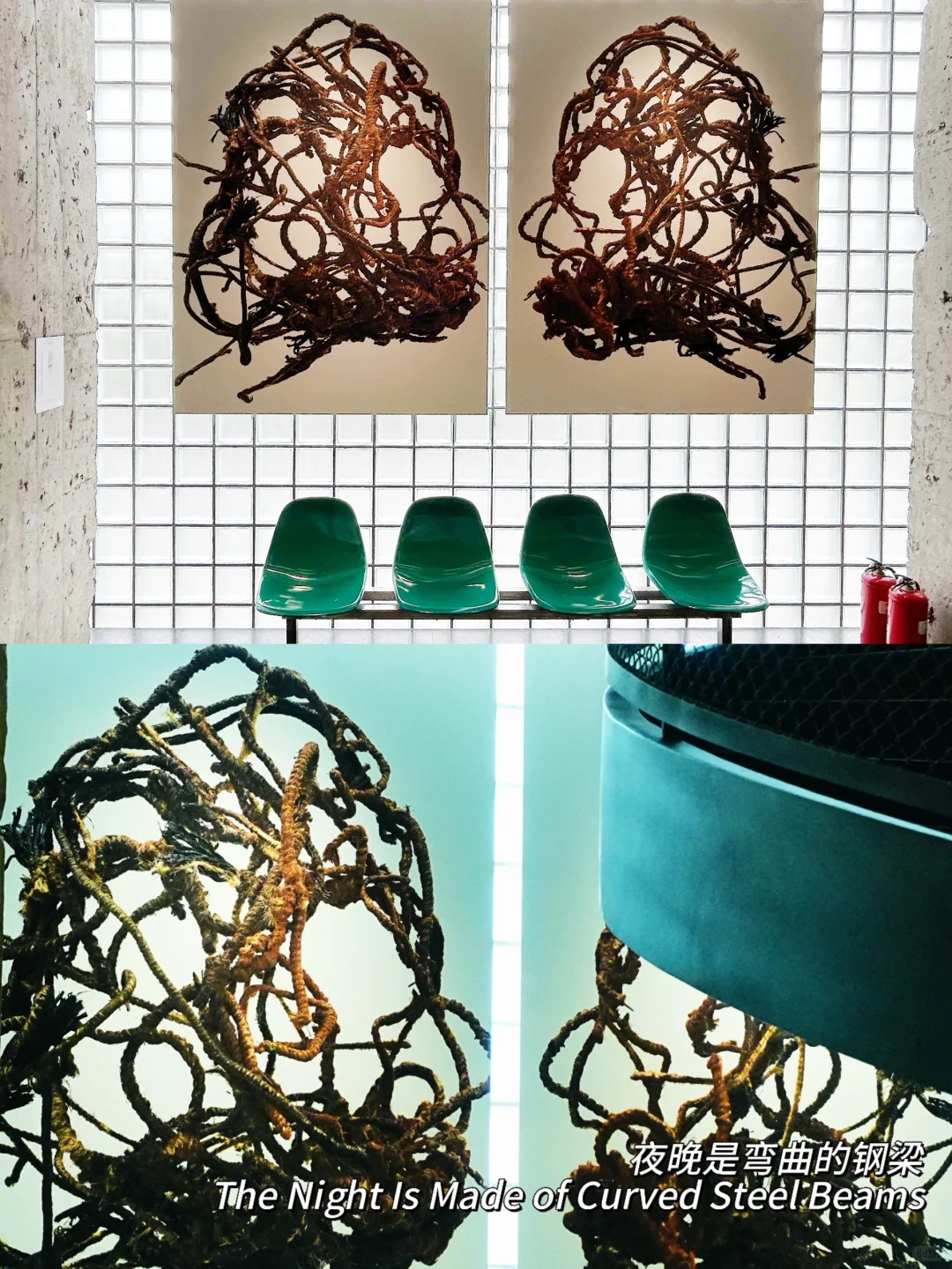 北京新展！三里屯这个艺术展太适合拍照啦！