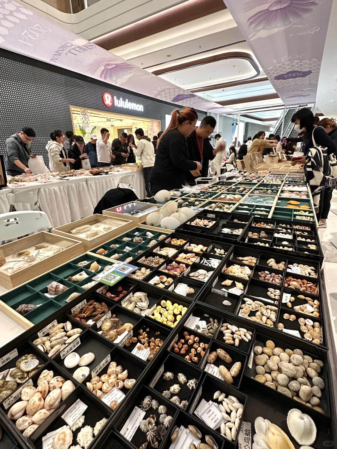 卧槽！！济南今天这是啥情况啊?。。。