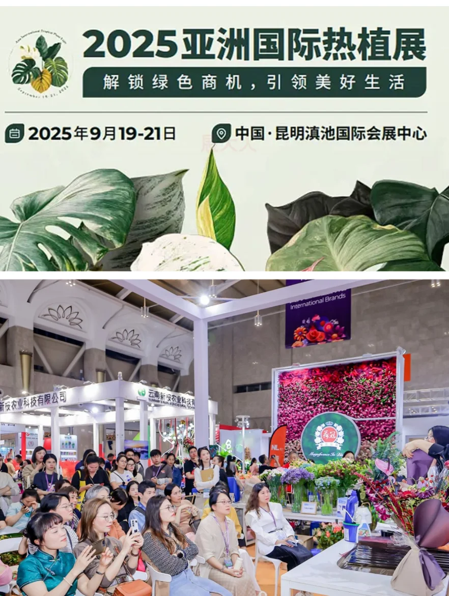 昆明热植展！将热带雨林搬进昆明！