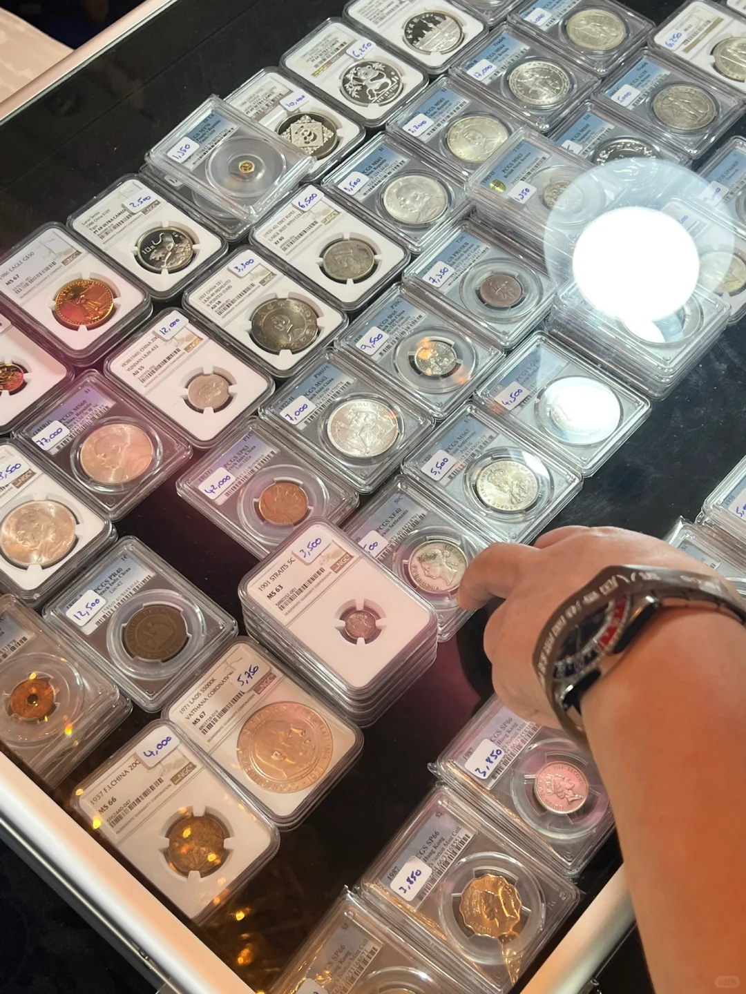 香港钱币展销会|钱币收藏|03.16