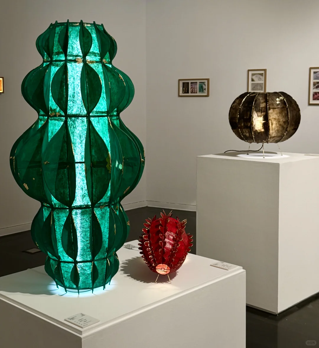 毕业啦～给毕设们找个家?