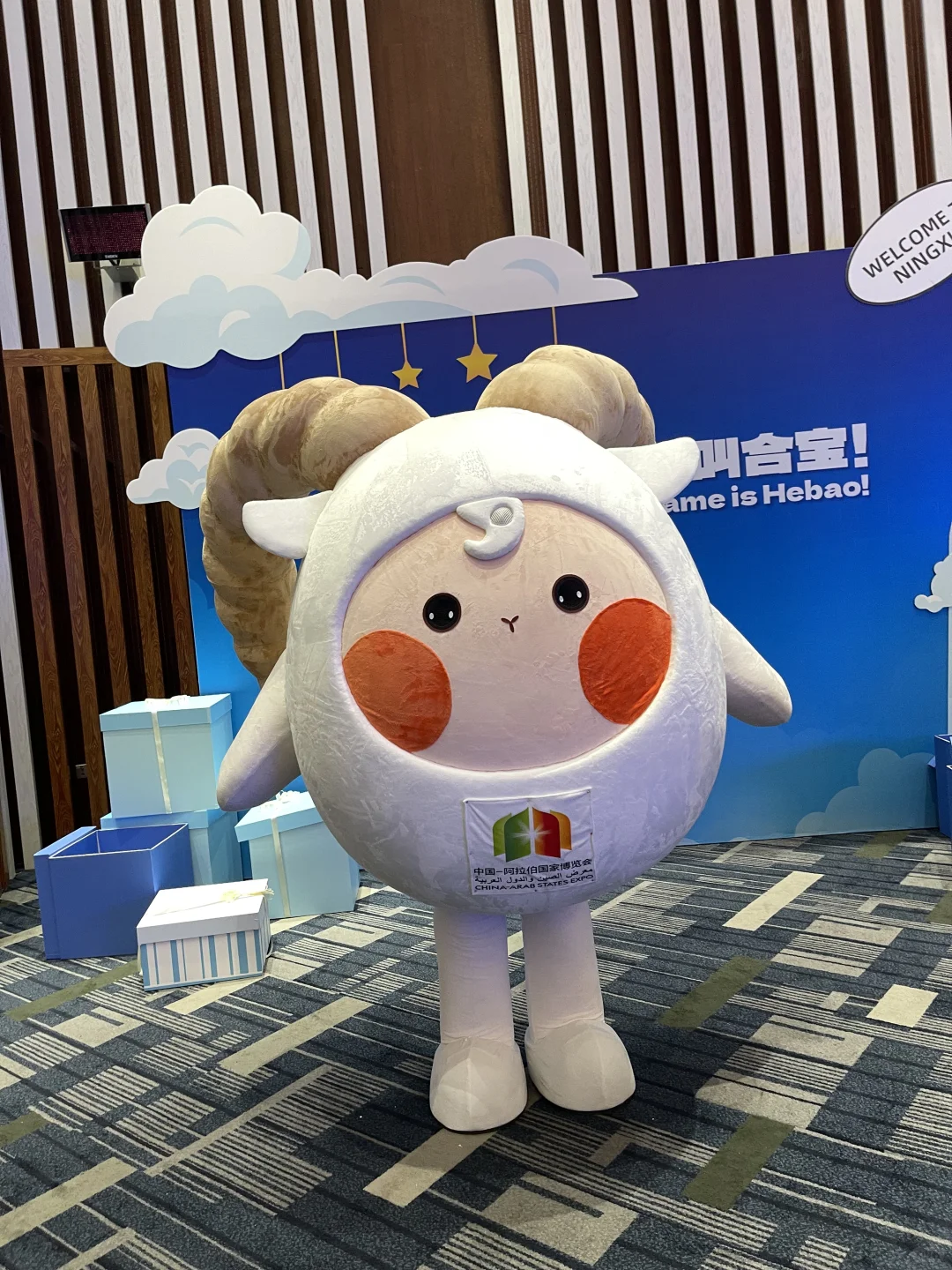 中阿博览会寻找志愿者啦