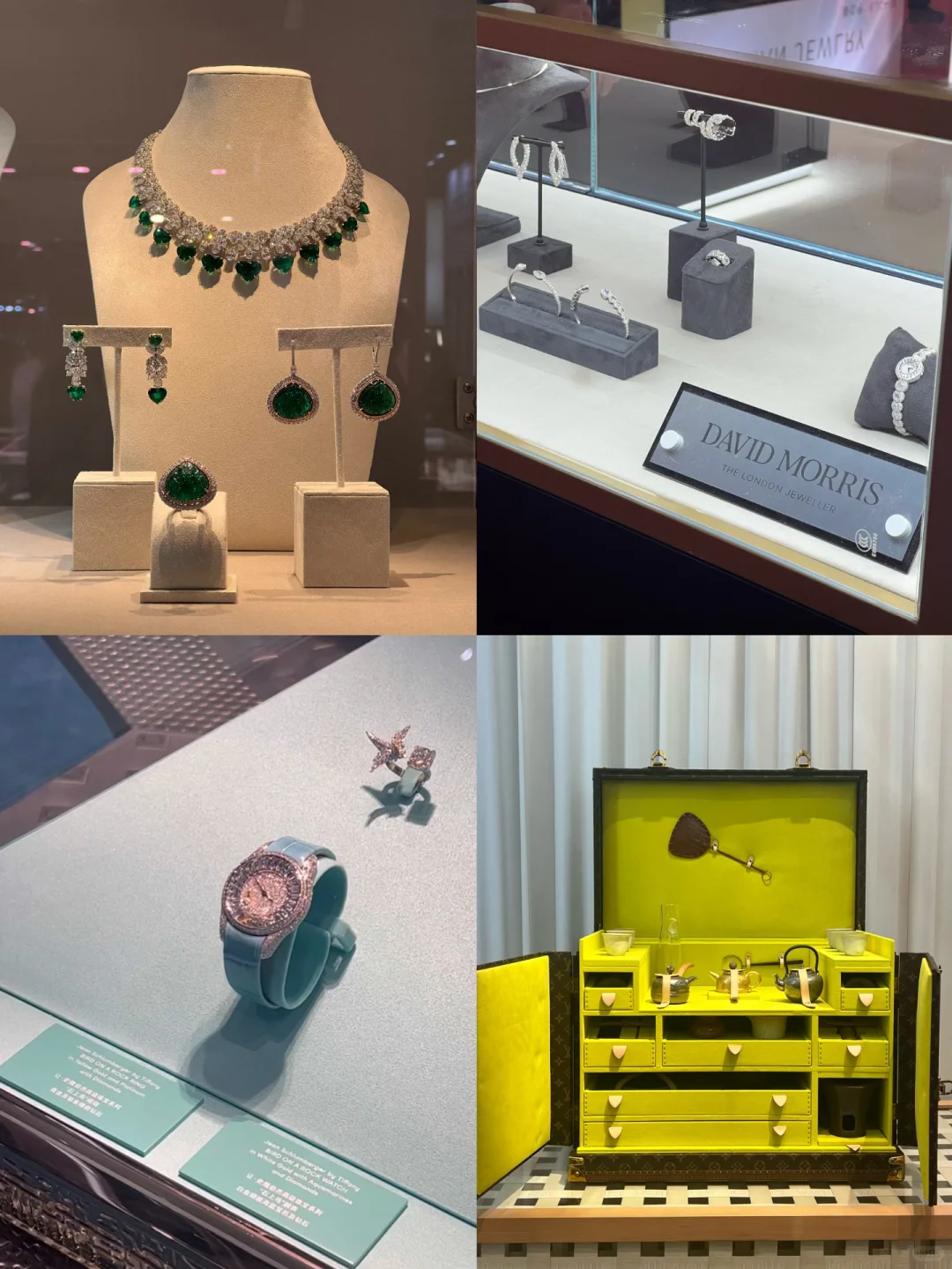 进博会太好逛了?根本不舍得走‼️