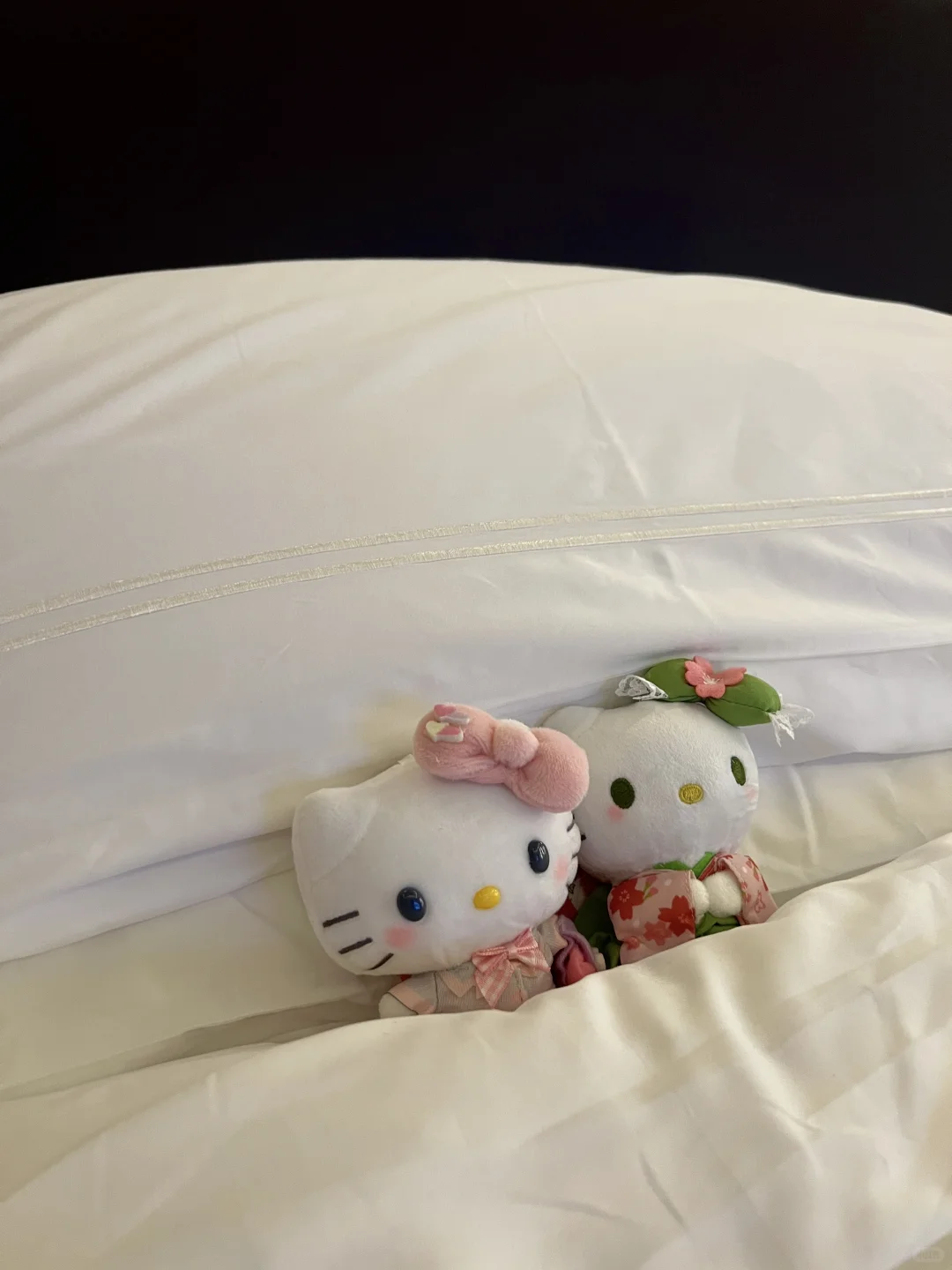 Meow~