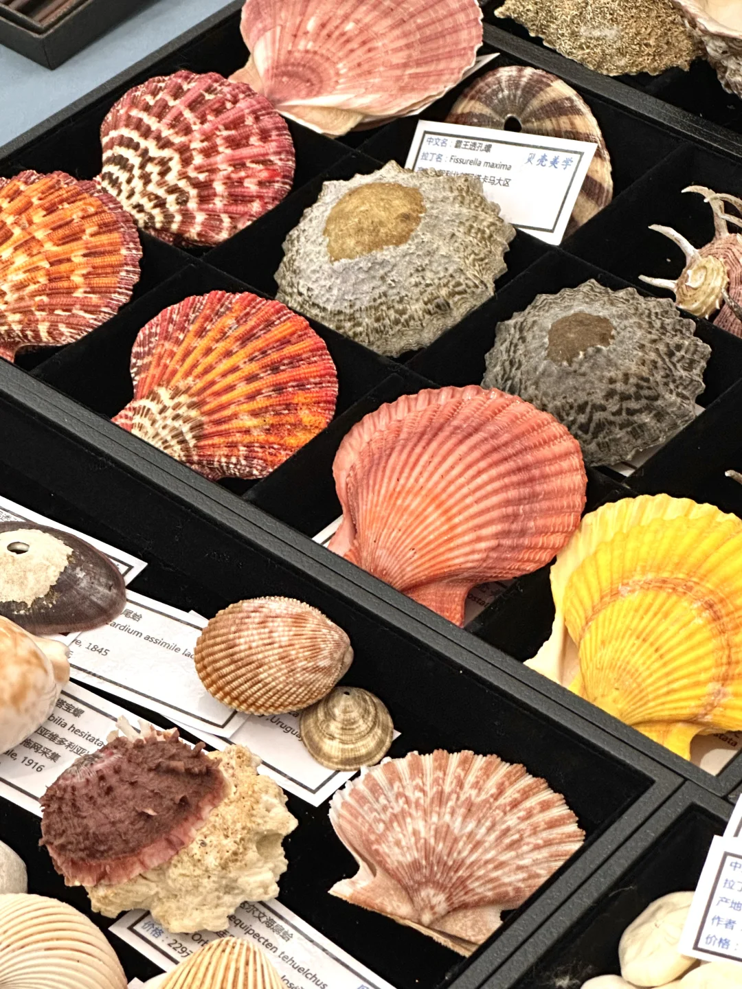 卧槽！！济南今天这是啥情况啊?。。。