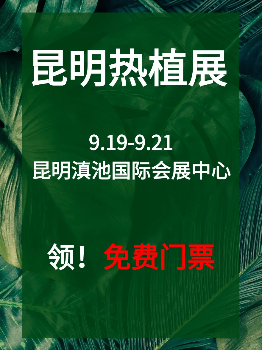 昆明热植展！将热带雨林搬进昆明！