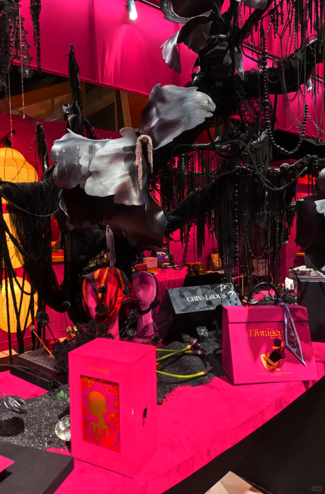 成都 | 桃红家礼物生长展览?