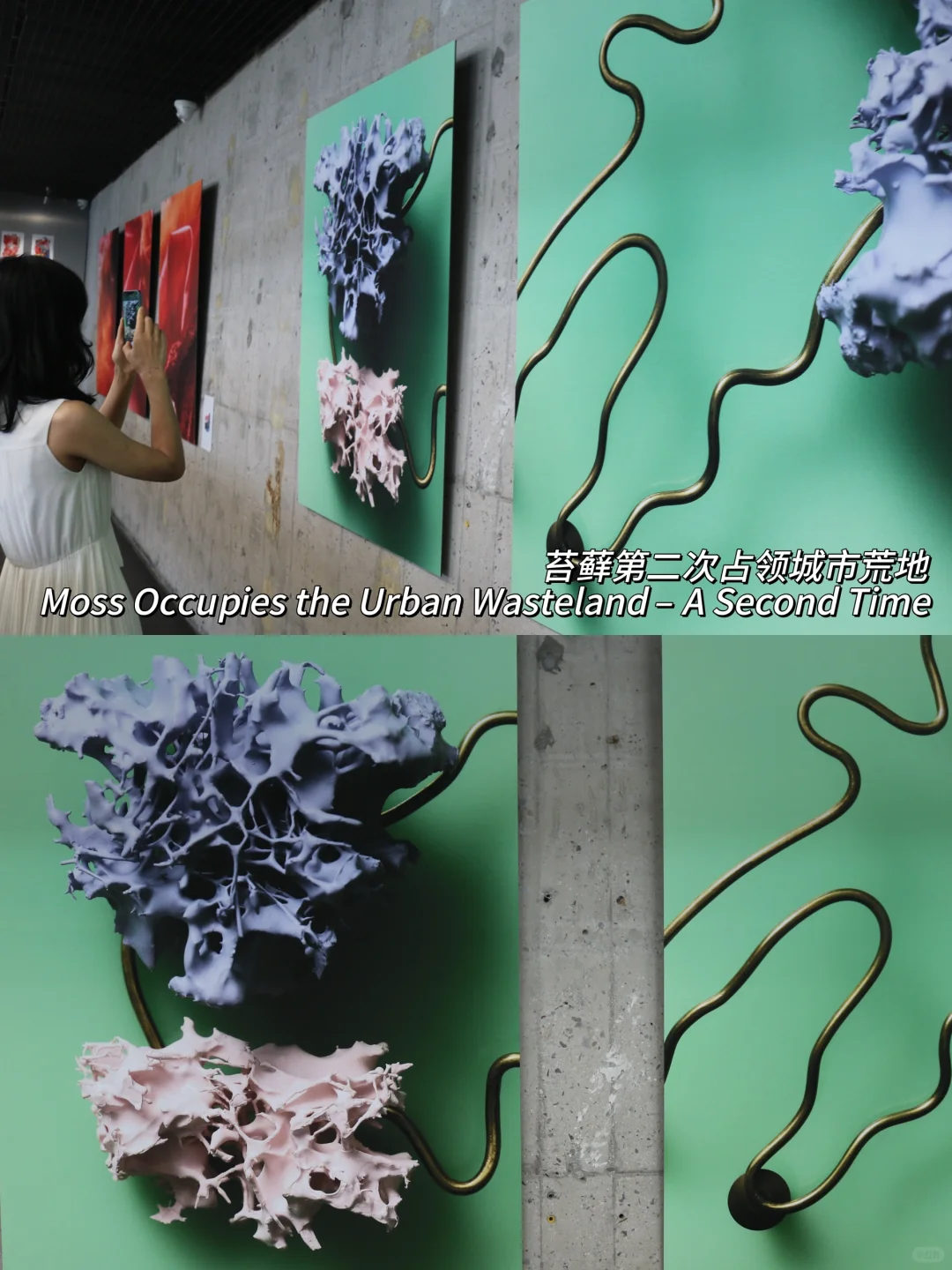 北京新展！三里屯这个艺术展太适合拍照啦！