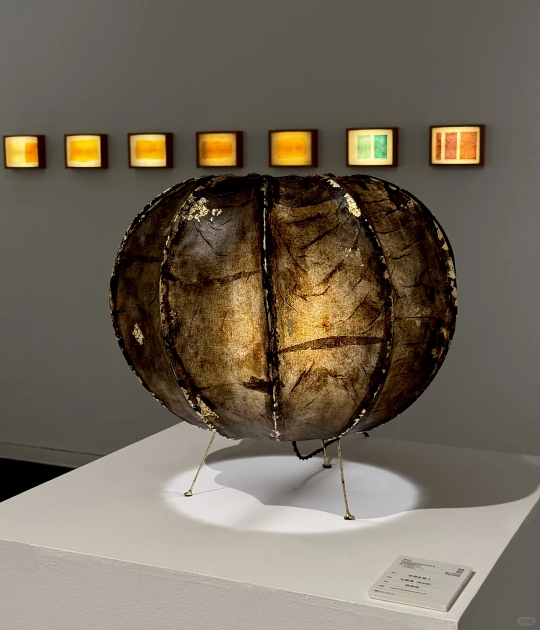 毕业啦～给毕设们找个家?