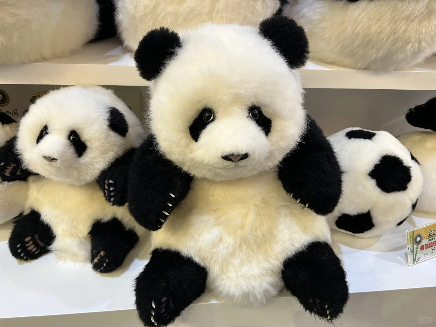 服贸会实用指南