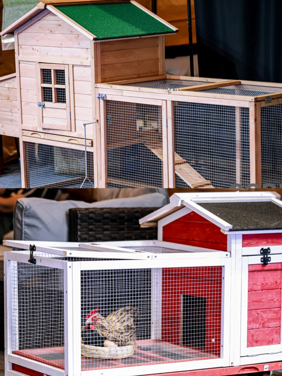 跨境电商选品新宠：宠物类产品的潜力挖掘