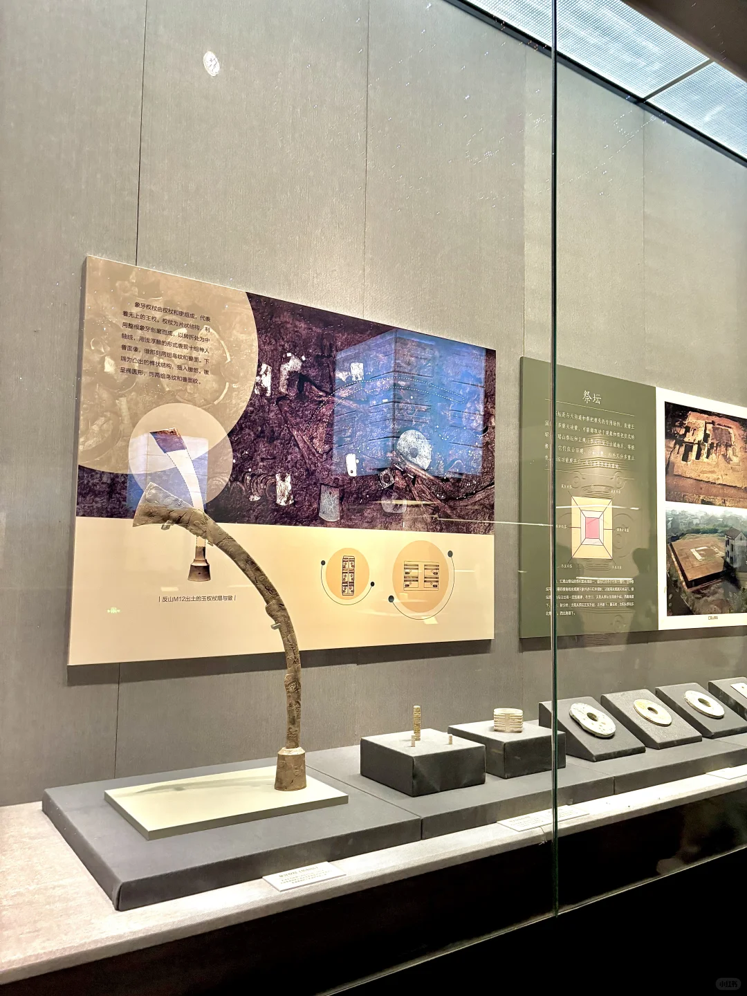 石家庄，免费新展太震撼了！?