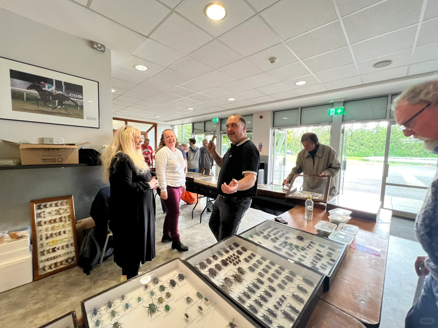 英国伦敦昆虫学展会