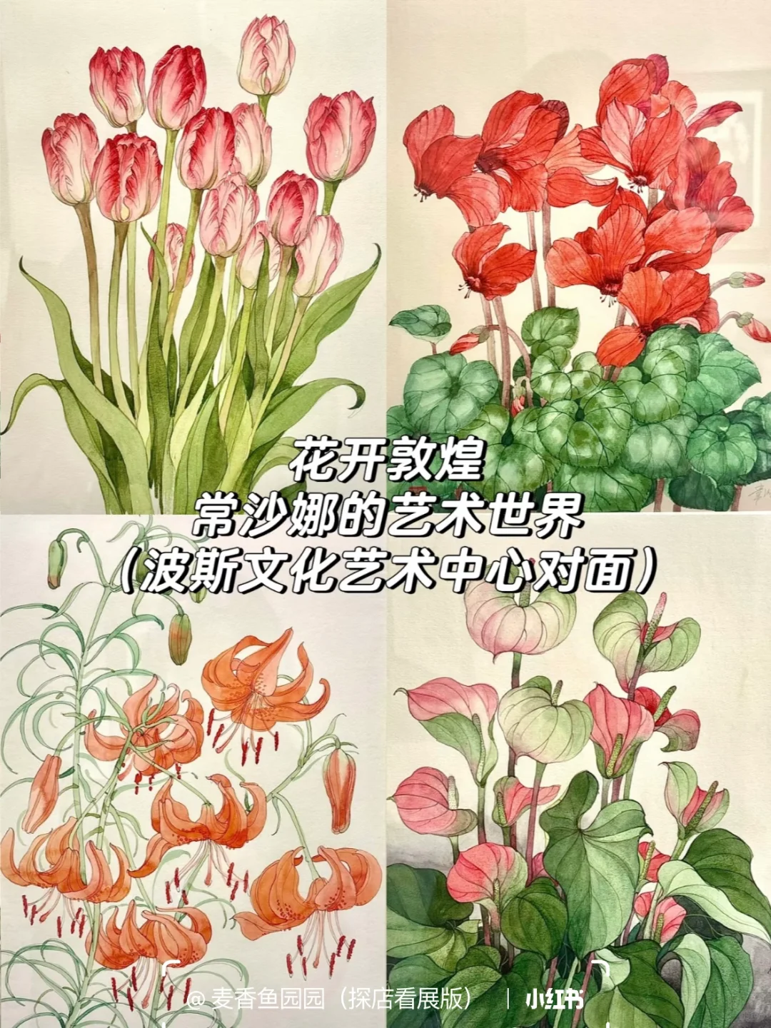 798艺术区8、9月免费展合集提前更啦❗️20多个