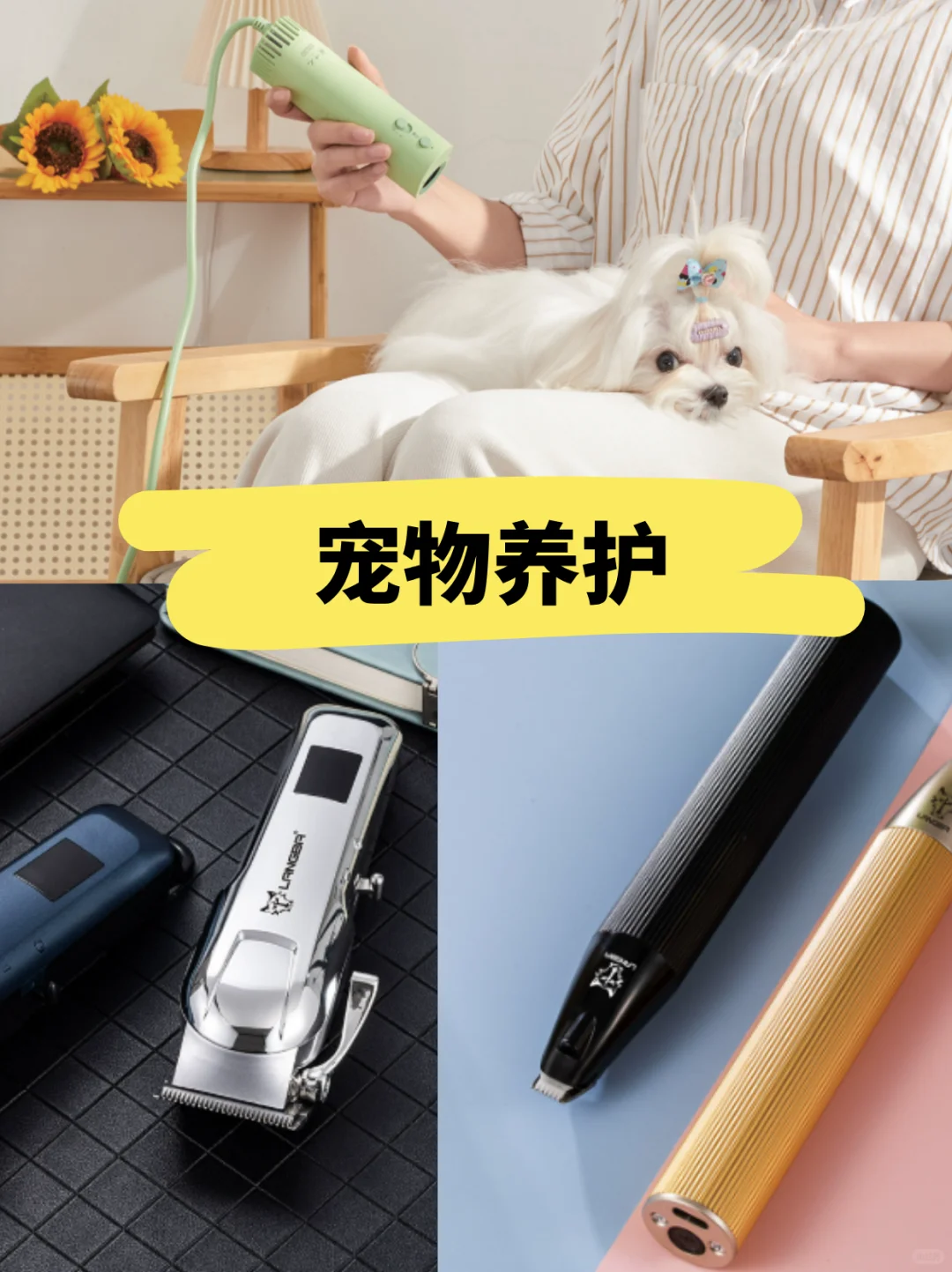 10月必冲宠物展！深圳这个展藏着超多商机