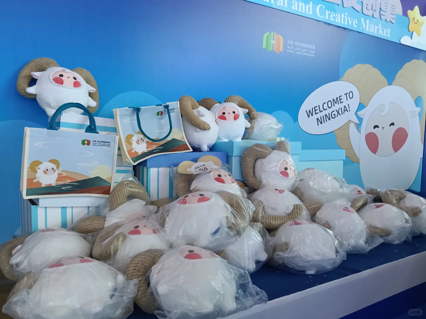 中阿博览会 打卡