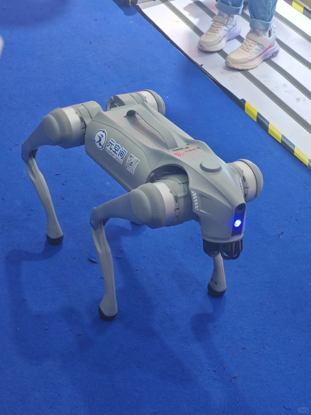 中阿博览会战利品