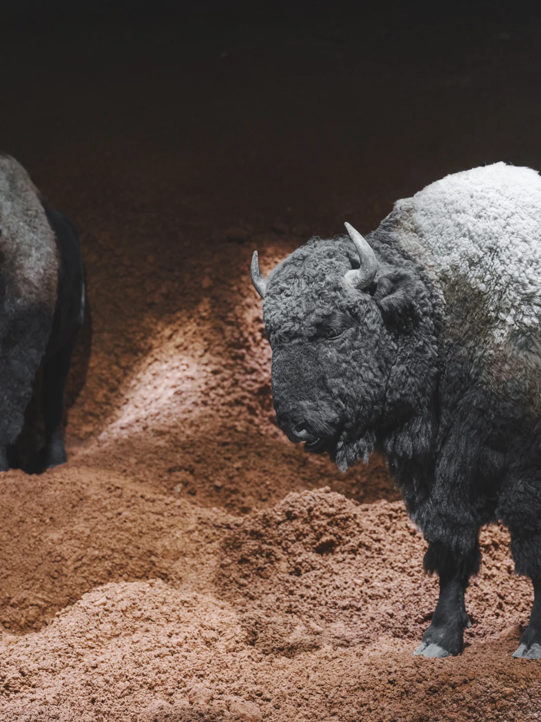 深圳探展 | 除了巨人,我更关注它的商业模式