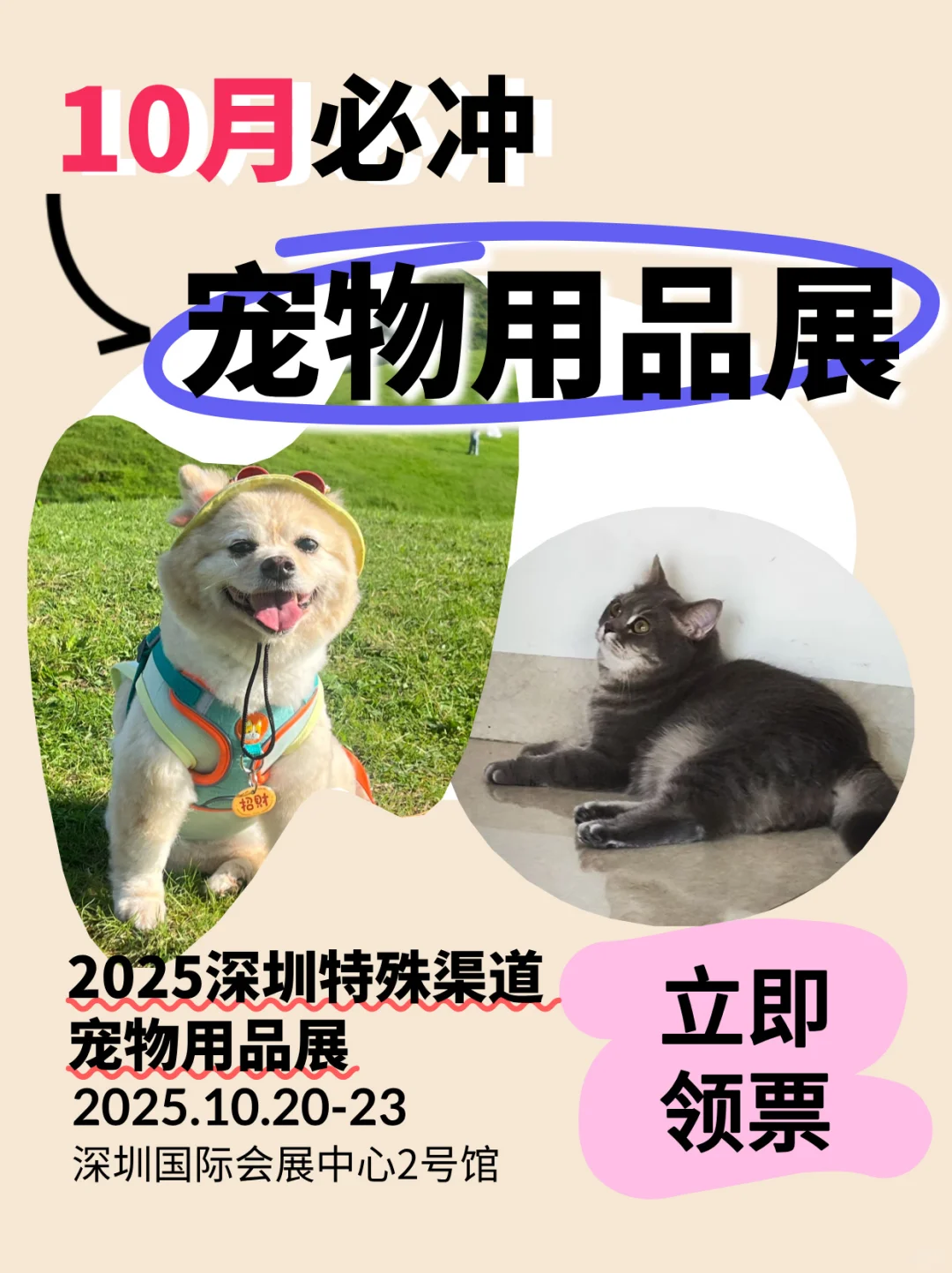 10月必冲宠物展！深圳这个展藏着超多商机