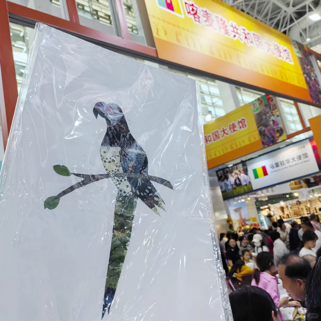 中阿博览会怎么逛