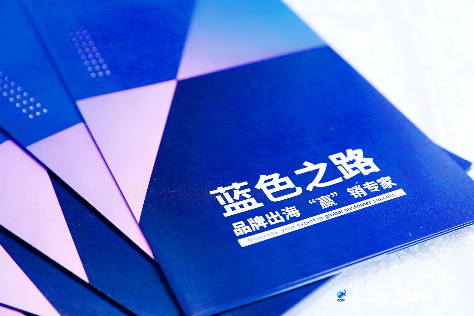 蓝色之路亮相郑州跨境电商交易会!