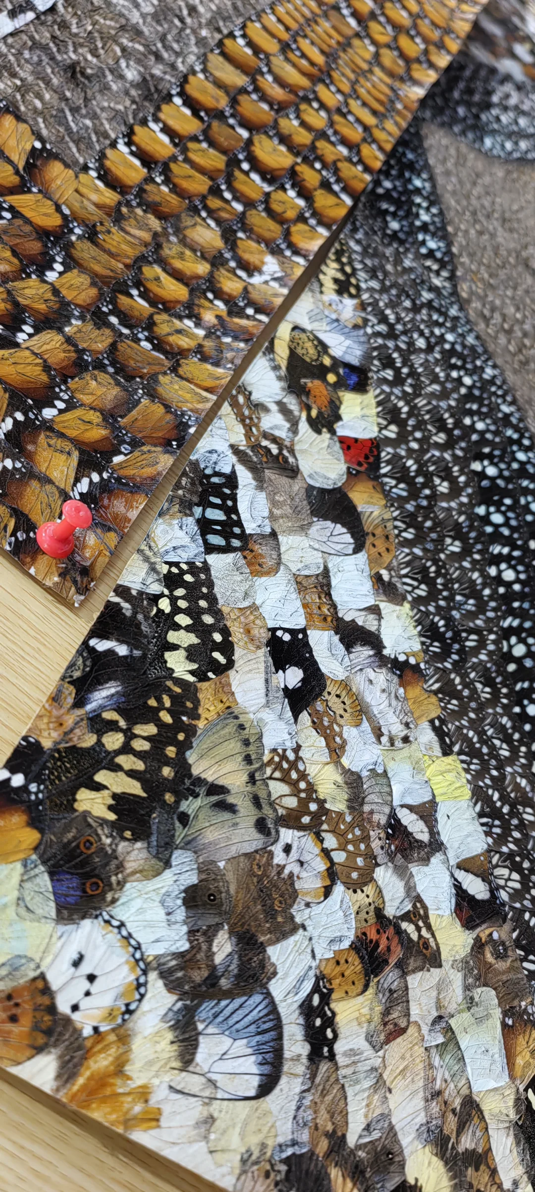 中阿博览会怎么逛