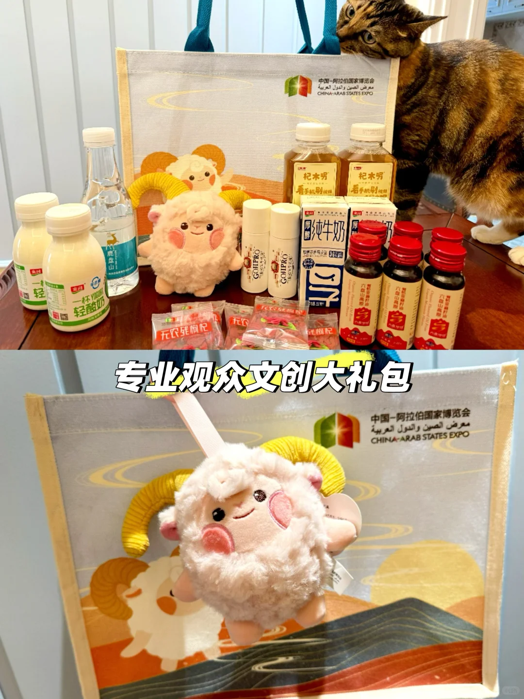 ????第七届中阿博览会?️