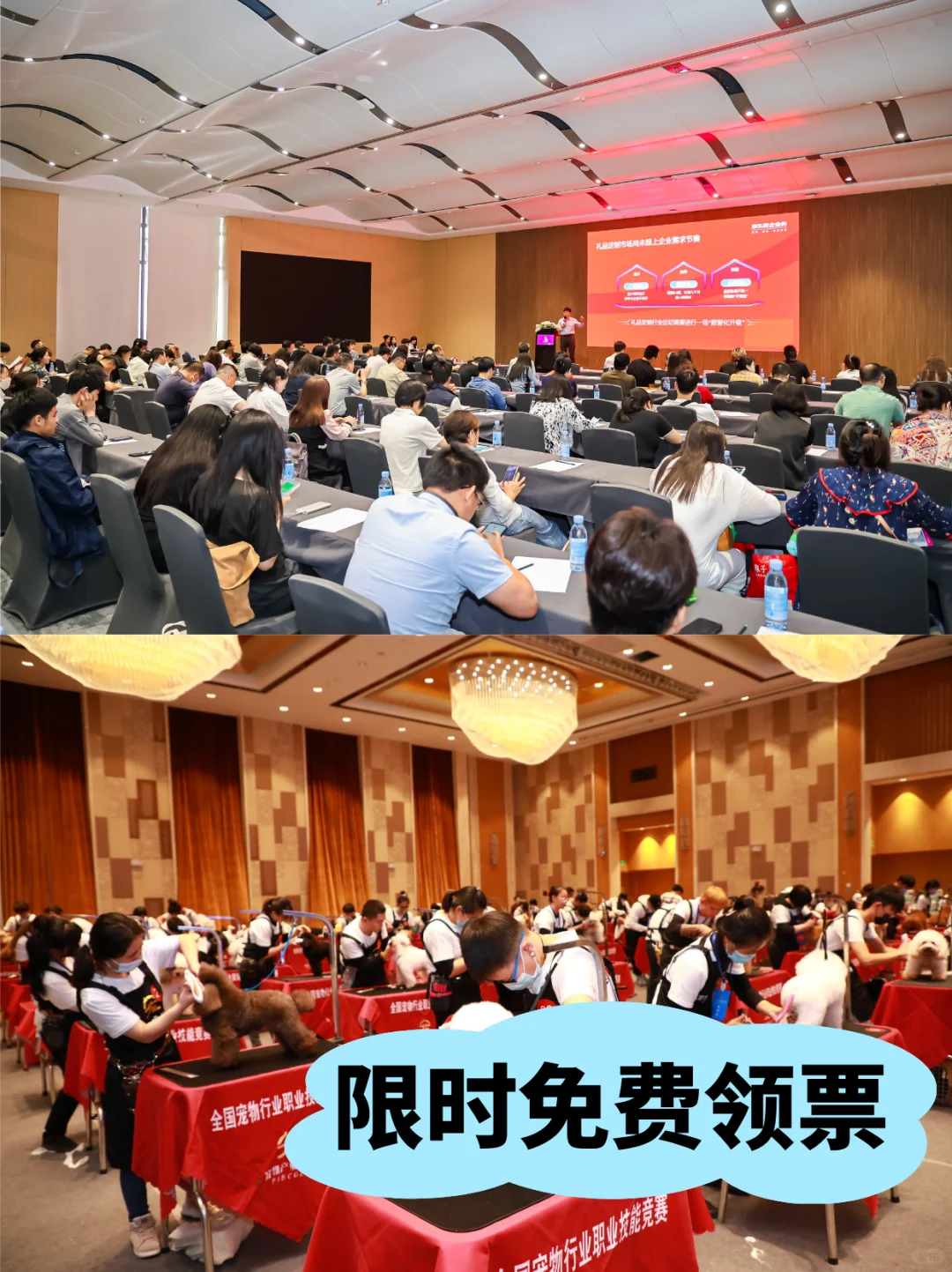 10月必冲宠物展！深圳这个展藏着超多商机