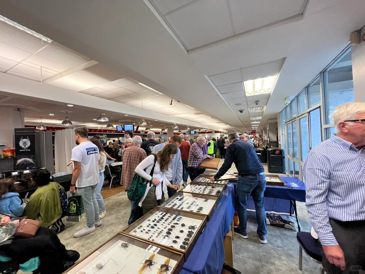 英国伦敦昆虫学展会