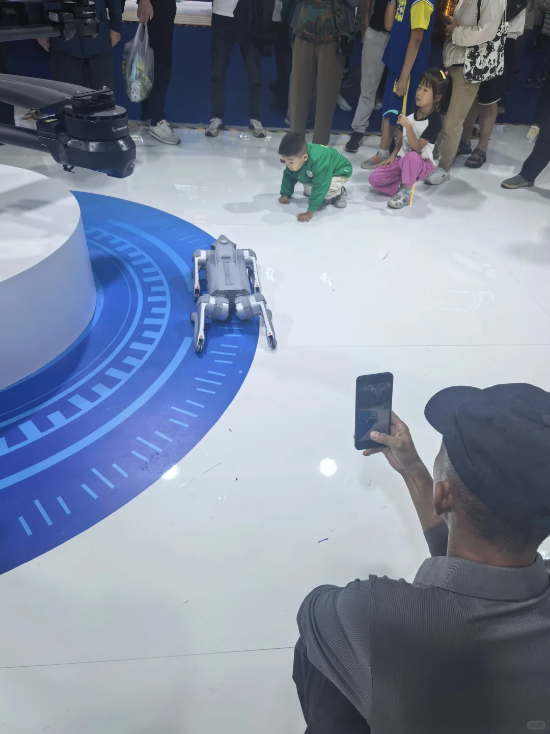 第七届中阿博览会