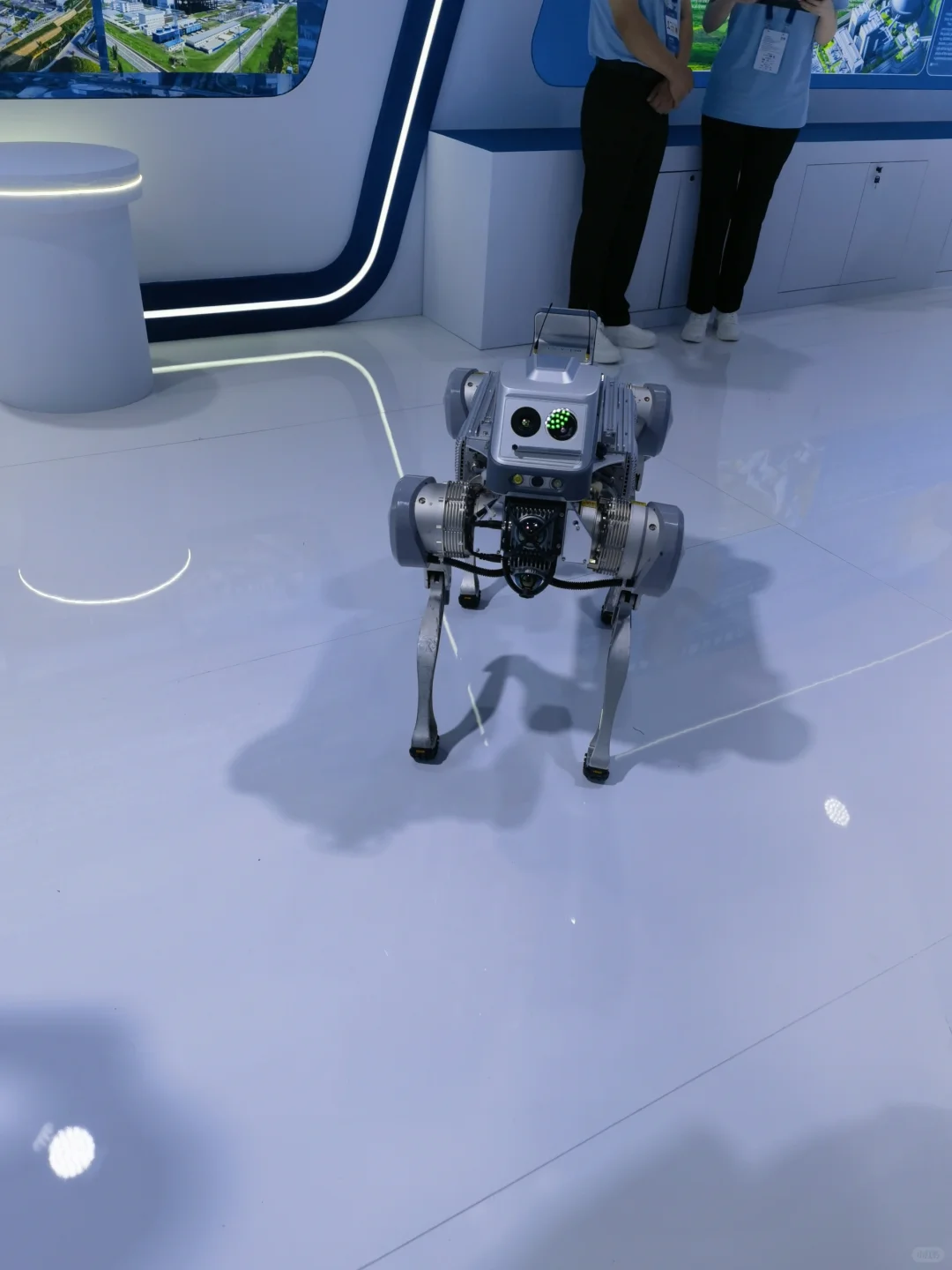 银川亲子?带娃逛中阿博览会全攻略?