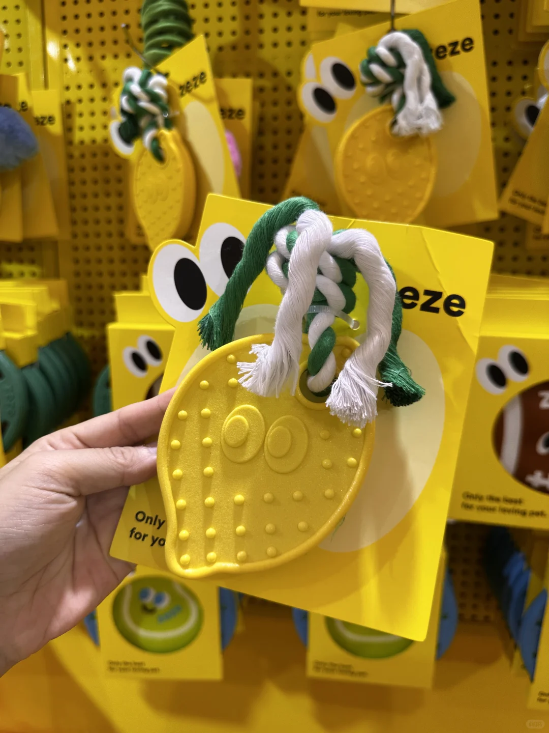 包装设计师勇闯亚宠展的一天