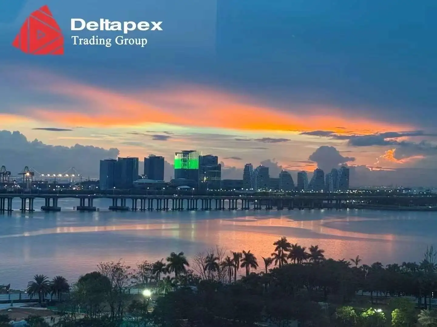 交易室新人报道