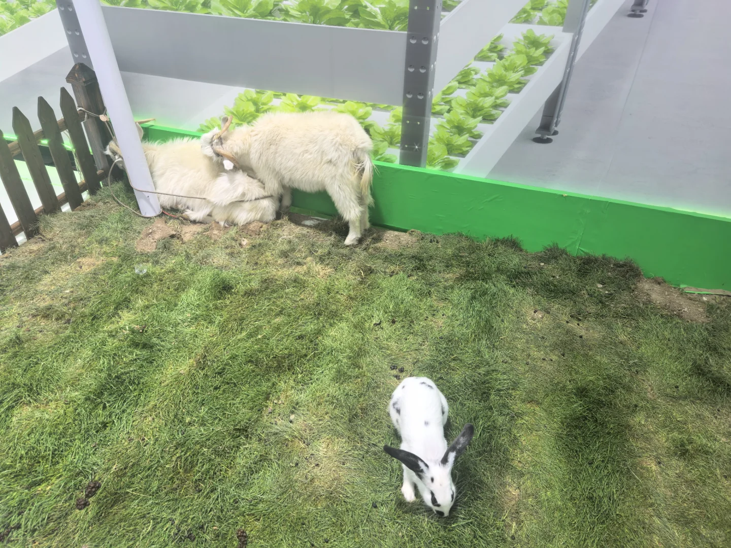 第七届中阿博览会