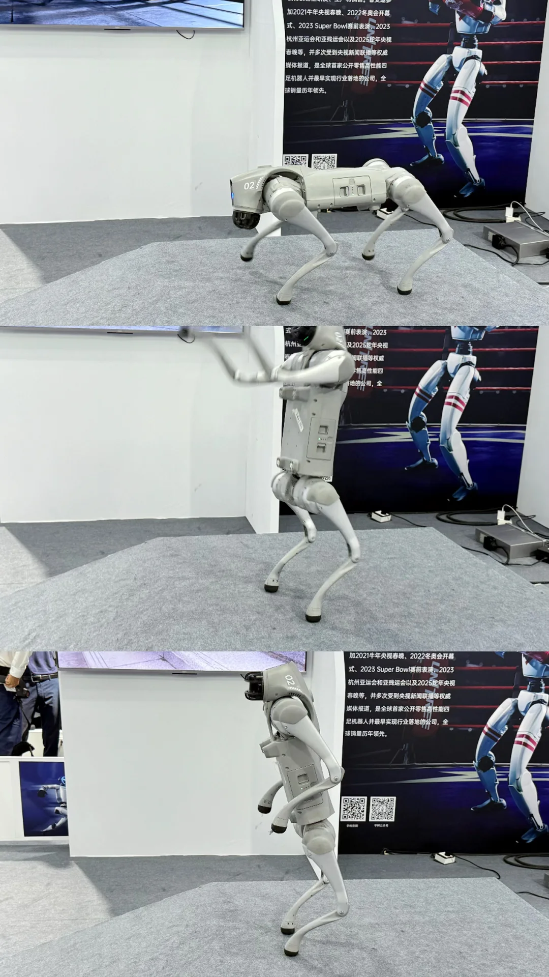 ????第七届中阿博览会?️