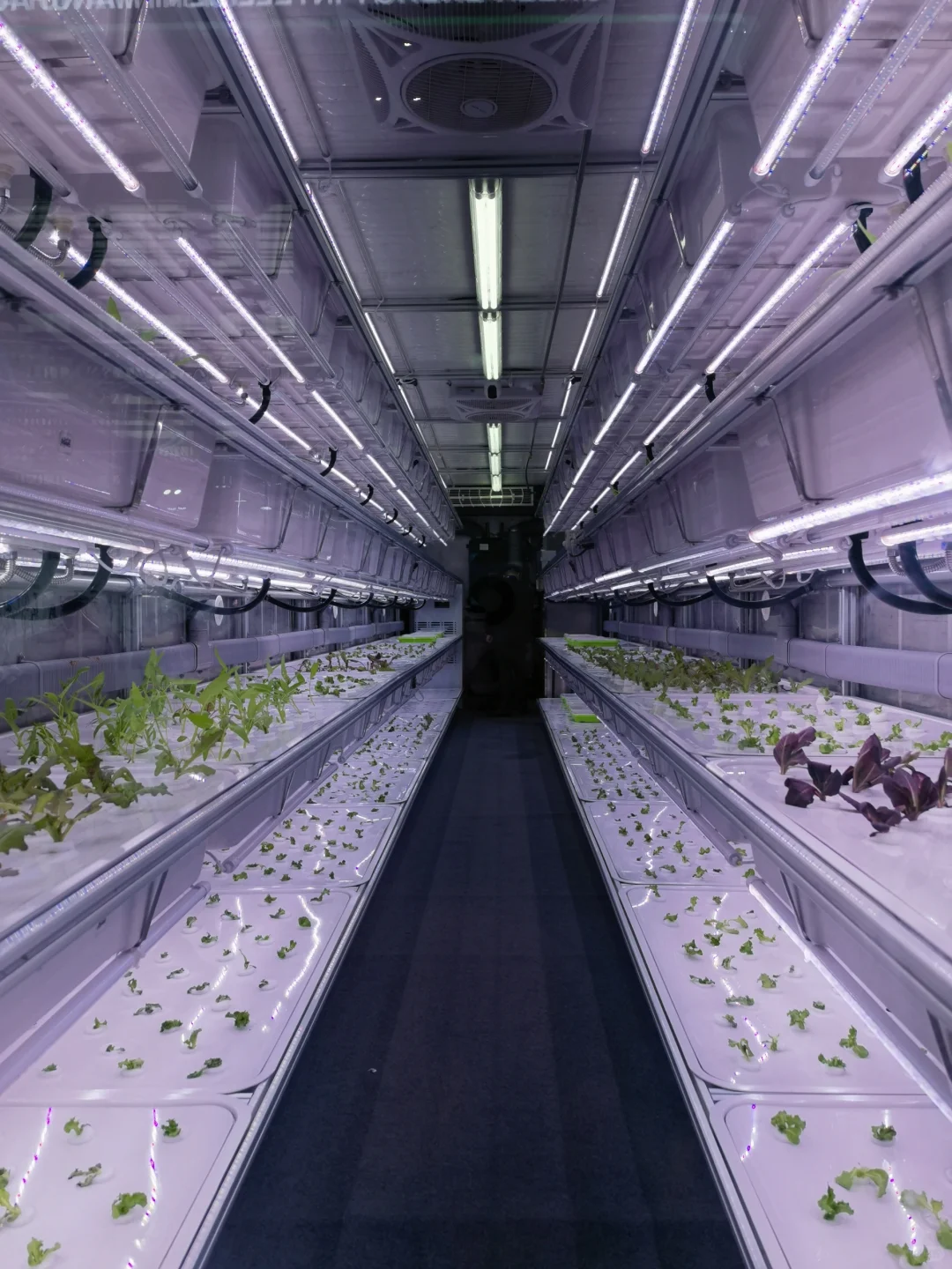 银川亲子?带娃逛中阿博览会全攻略?