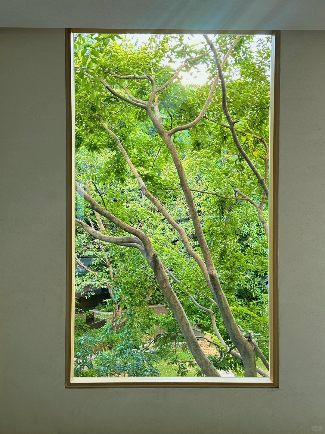 震撼！杭州严重被低估的一个新展?