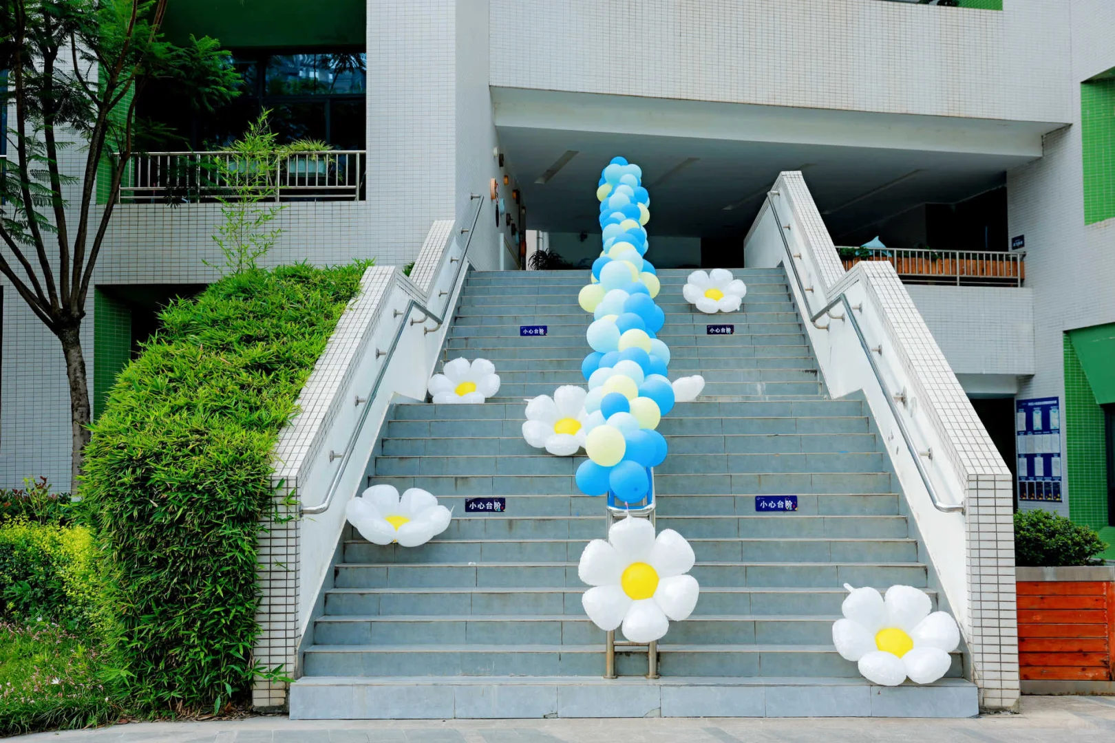 小学毕业展