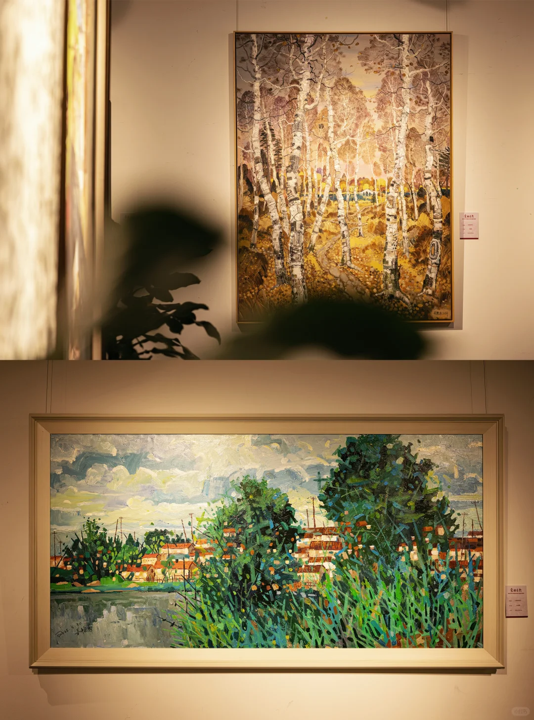 长春新展❗暂别喧嚣?觉悟自然