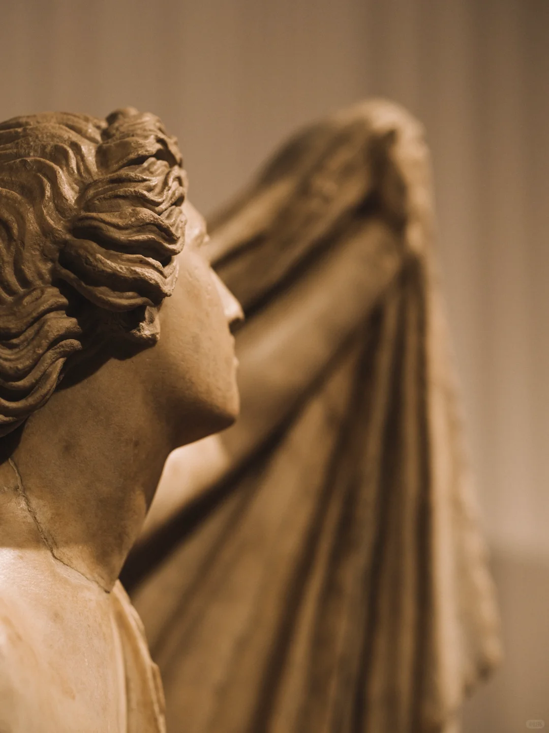 艺术之美|辽宁博物馆·古罗马女性专题文物展