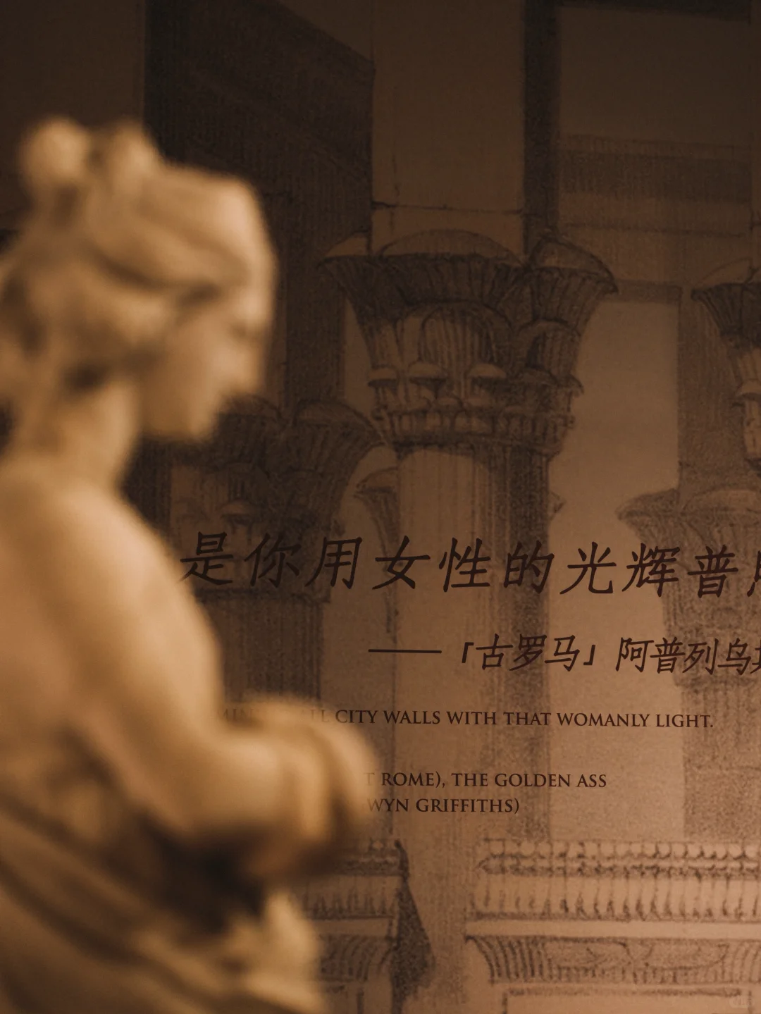 艺术之美|辽宁博物馆·古罗马女性专题文物展