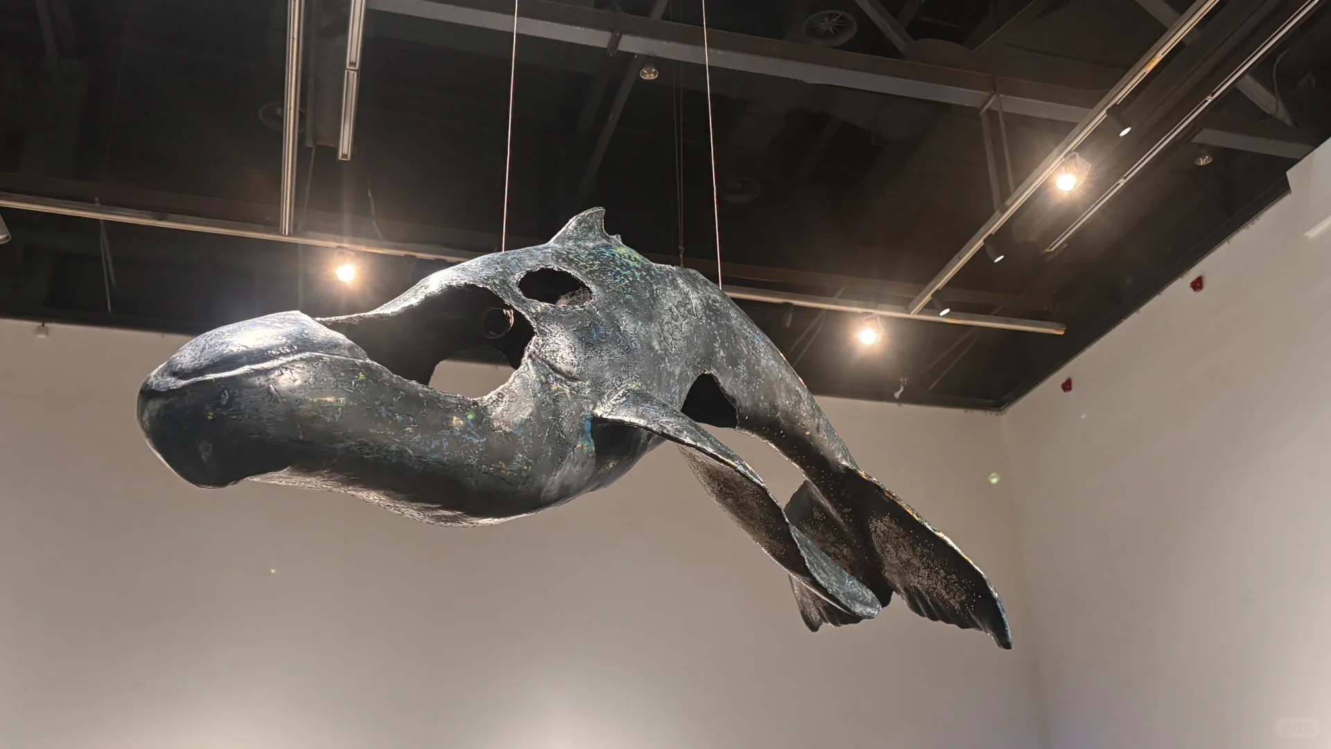 这么好看的毕业展我看了！