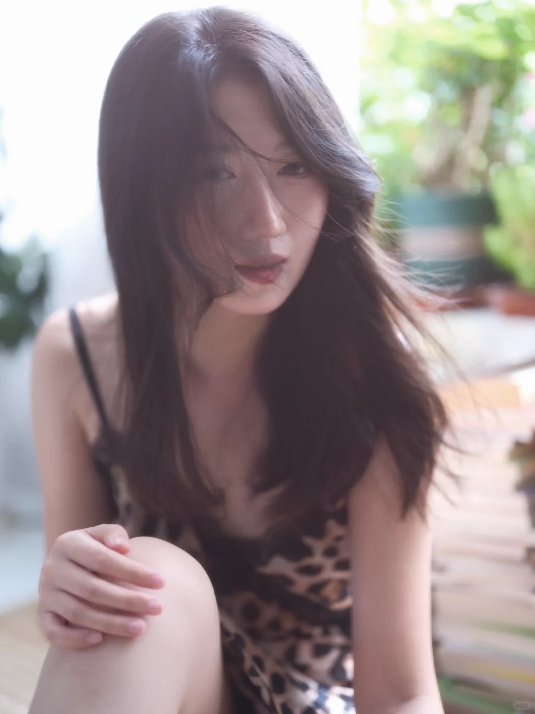 花豹子