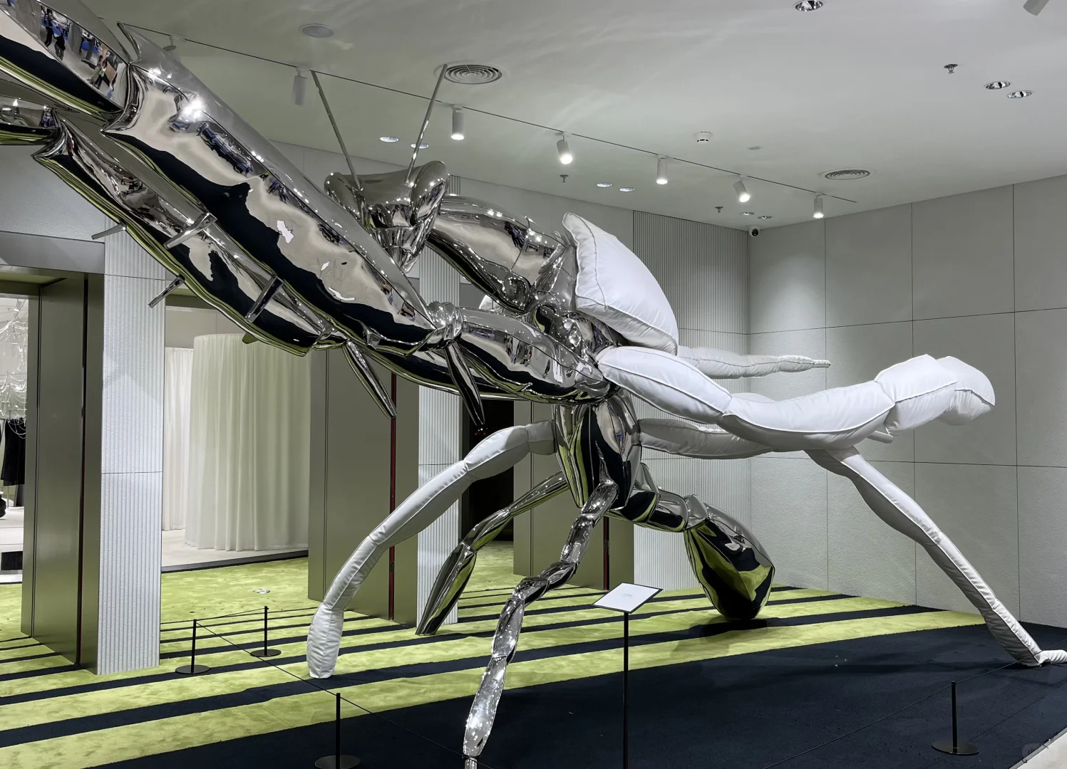 花半小时去深圳闻了一次臭脚?深圳巨人展