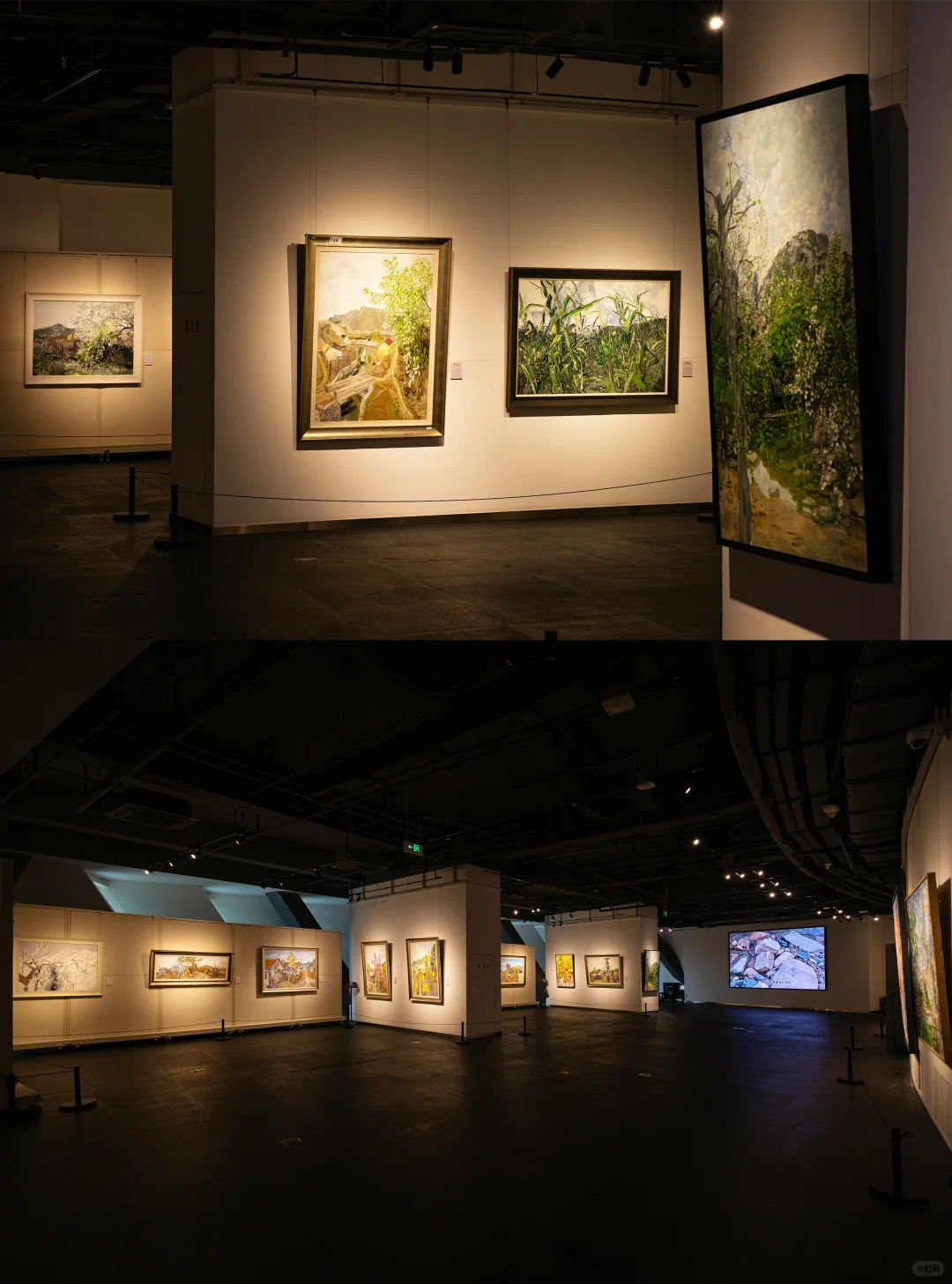 长春新展❗暂别喧嚣?觉悟自然